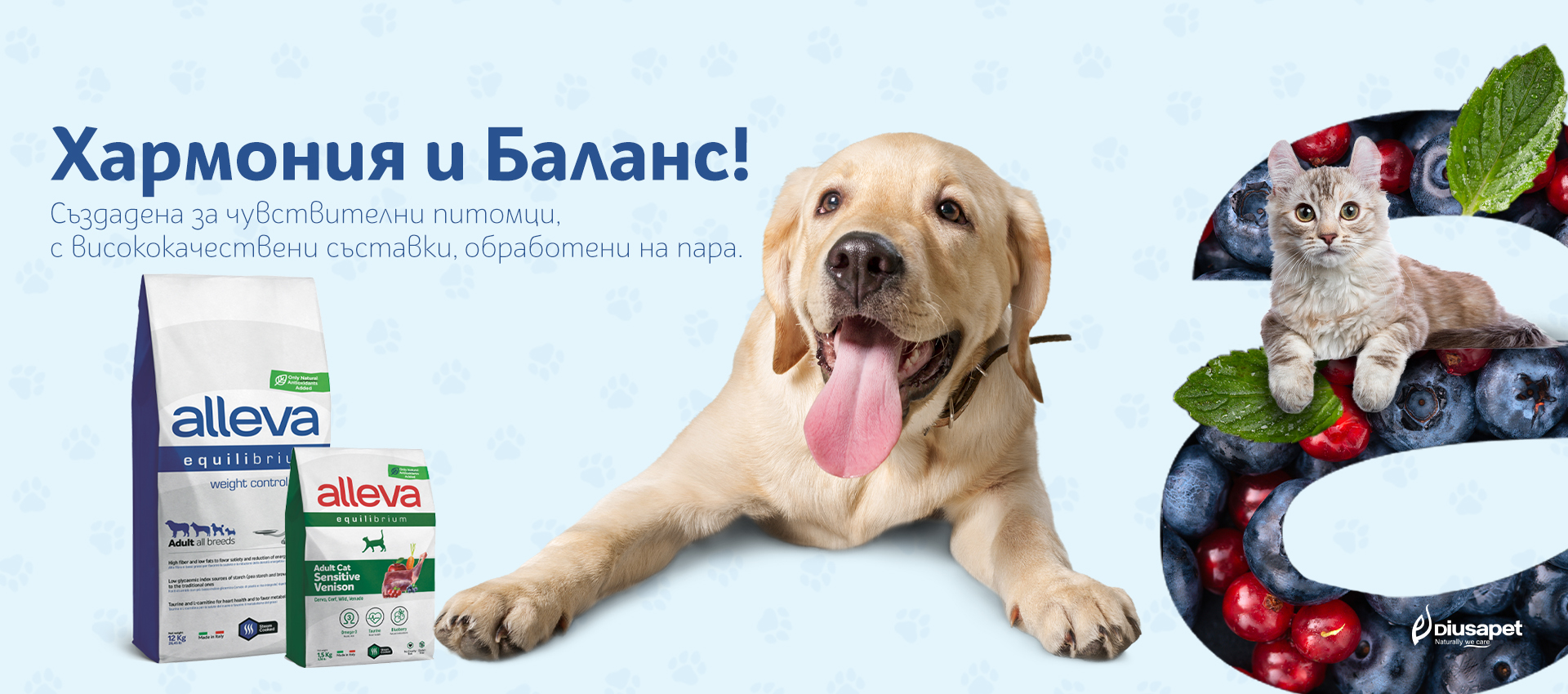 main-banner2